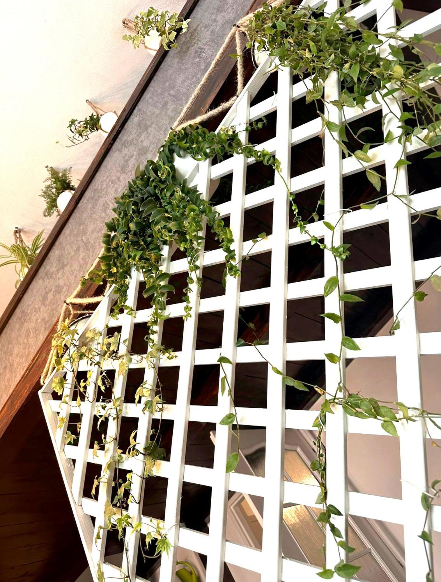 Green Garden Ντέτσιν Εξωτερικό φωτογραφία